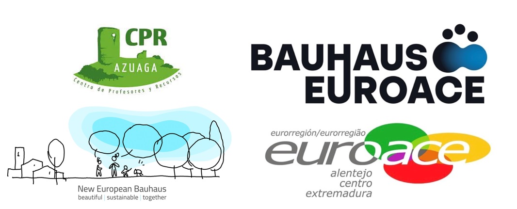 Bauhaus EUROACE Curso CPR