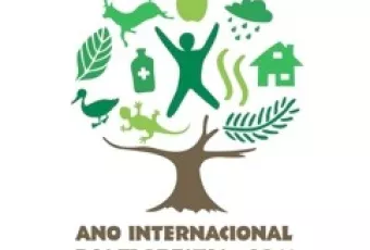 ano_internacional_das_florestas.jpg