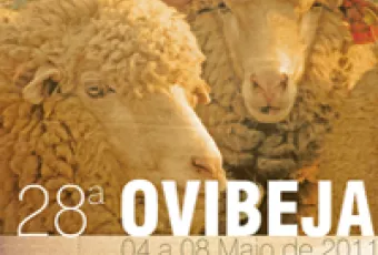 cartaz2011.jpg