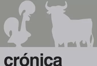 cronica_2010.jpg