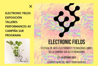 Electronic Fields