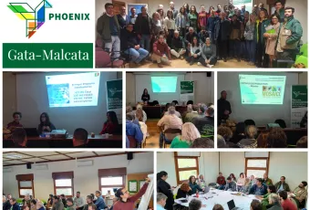 Phoenix Gata Malcata