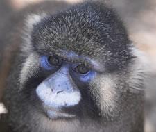 home_animal42.jpg